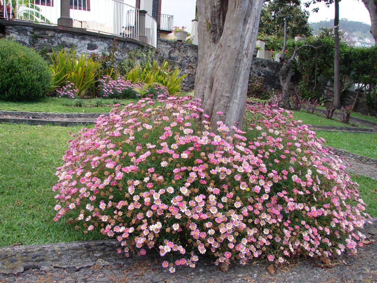 Romantic Studio Funchal  Exterior foto